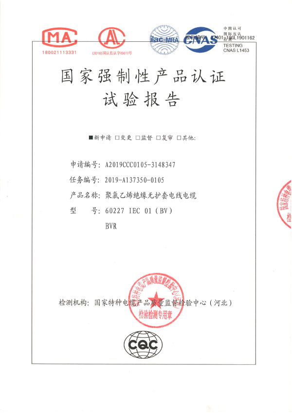 试验报告30