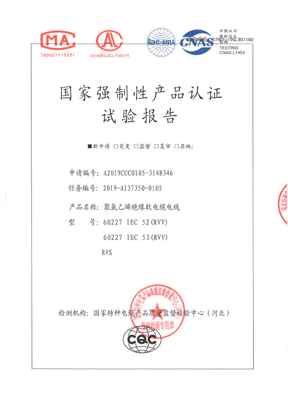 试验报告31