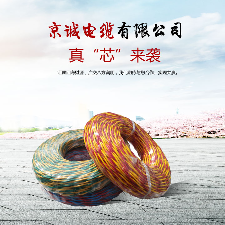 ZR-RVS双绞线